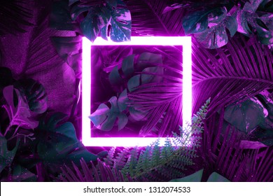 Creative fluorescent color layout made of tropical leaves with neon light square. Flat lay. Nature concept
