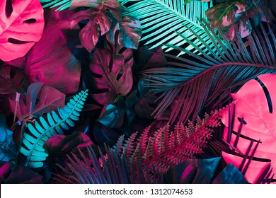 Creative fluorescent color layout made of tropical leaves. Flat lay neon colors. Nature concept. - Shutterstock ID 1312074653