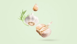 Creative Food Concept. Minimalistic Light Green Background With Natural Root Vegetables. Flying Fresh Organic Garlic With Green Leaves Dill. Spicy Seasoning For Cooking. Copy Space. Horizontal Banner.