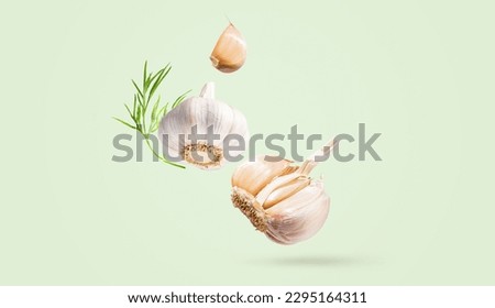 Creative food concept. Minimalistic light green background with natural root vegetables. Flying fresh organic garlic with green leaves dill. Spicy seasoning for cooking. Copy space. Horizontal banner.