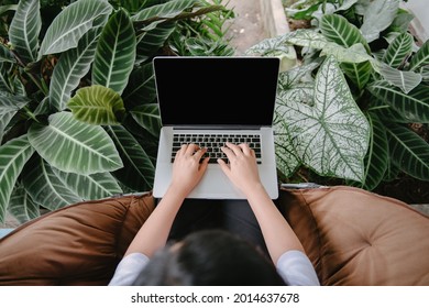 Creative Freelancer Woman Using Laptop in Cafe With Houseplant, Business Woman Online Working on Computer Laptop While Sitting Indoors Cafe. Nature Green Plant Relaxing Space and Leisure Lifestyles. - Shutterstock ID 2014637678