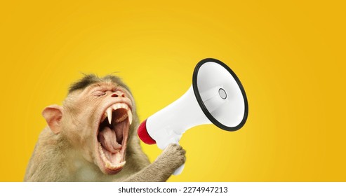 Creative funny monkey is holding and screaming into a loudspeaker. Business and management, concept. Creative advertising idea. Management and marketing. 