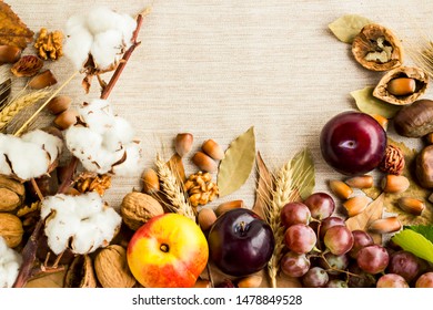 Creative Harvest Design With,walnut,hazelnut,chestnut,wheat Ears,cotton Ball,plum,nectarine,grape And Dry Autumn Leaves.Space For Text