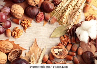 Creative Harvest Design With,walnut,hazelnut,chestnut,wheat Ears,cotton Ball,plum,grape And Dry Autumn Leaves And Copy Space On Center.