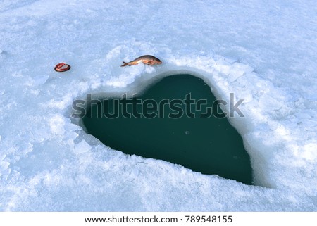 Image, Stock Photo Serene winter carp sport fishing scene at riverside