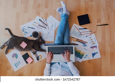 creative home work space - work from home concept - girl with cat - Shutterstock ID 1672542787