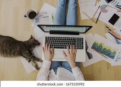 Creative Home Work Space - Work From Home Concept - Girl With Cat