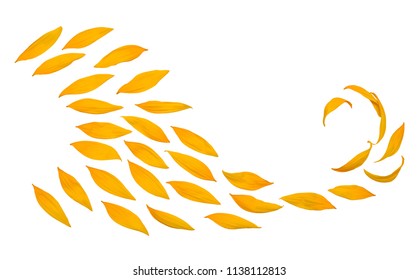 Creative Idea Flower Of A Sunflower Petals Flying In The Wind. Abstraction And Wave. Agricultural Topics. Place For Text. Flat Lay, Top View