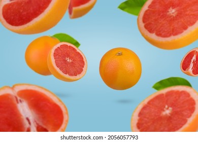 Creative idea with fresh grapefruit sliced on trendy blue background. Minimal fruit concept. Vitamins, healthy diet concept. Sliced and whole grapefruit floating in the air. 