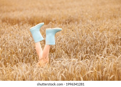Creative image of female legs in rubber boots stick out of golden wheat field. Summertime concept.