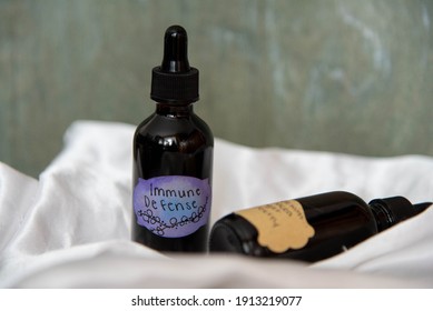 Creative Immune Tincture Elderberry Echinacea And Ginger