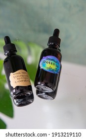 Creative Immune Tincture Elderberry Echinacea And Ginger