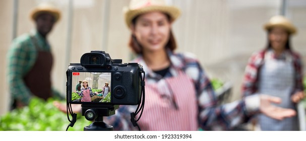 Creative Influencer An Online Streaming Farming Demonstration. Young Smart Asian Organic Vegetable Farm Owner Is Broadcasting Live With A Camera In Vegetable Nurseries.