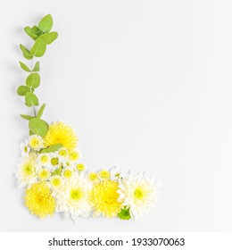 Creative layout composition of flowers on pastel background