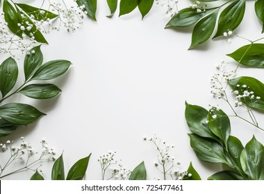 Creative layout of foliage on a white background with space for text. White gypsophila. Frame of leaves and flowers. Floral background. View from above.