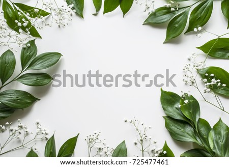 Creative layout of foliage on a white background with space for text. White gypsophila. Frame of leaves and flowers. Floral background. View from above.
