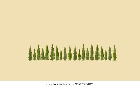 Creative Layout Of Forest Treeline On Pastel Background. Natural Concept.