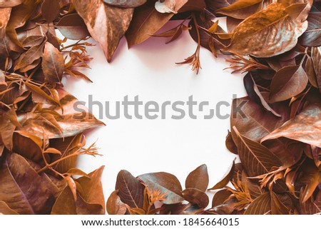 Similar – autumn window Environment