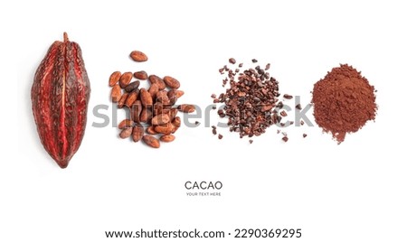 Creative layout made of cacao fruit, cacao beans, cacao nibs and powder on white background. Flat lay. Food concept. Macro  concept.