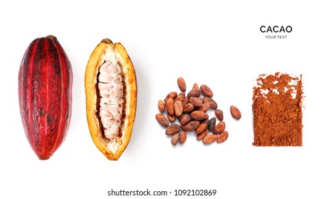 Creative layout made of cacao powder,  cacao fruit and cacao beans on the white background. Flat lay. Food concept. Macro  concept.