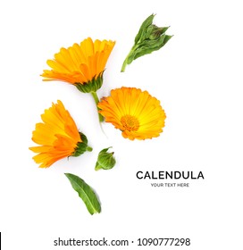 Creative layout made of calendula . Flat lay. Flower concept. Calendula on the white background.