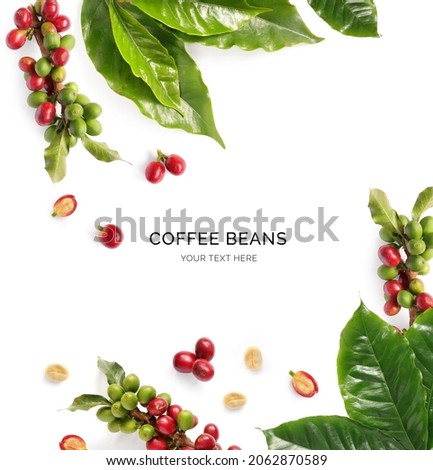 Creative layout made of coffee beans and leaves on the white background. Flat lay. Food concept.