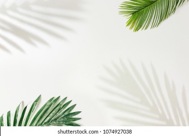 Creatieve lay-out gemaakt van kleurrijke tropische bladeren op witte achtergrond. Minimaal zomers exotisch concept met kopieerruimte. Grensregeling.