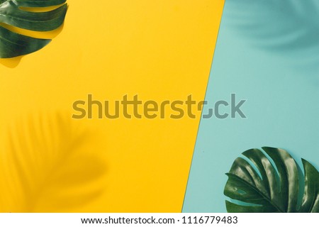 Creative layout made of colorful tropical leaves on yellow and blue background. Minimal summer exotic concept with copy space. Border arrangement.