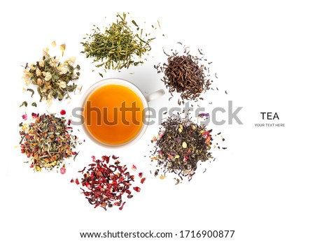 Creative layout made of cup of tea, green tea, black tea, fruit and herbal tea, sencha, ginger on white background.Flat lay. Food concept.