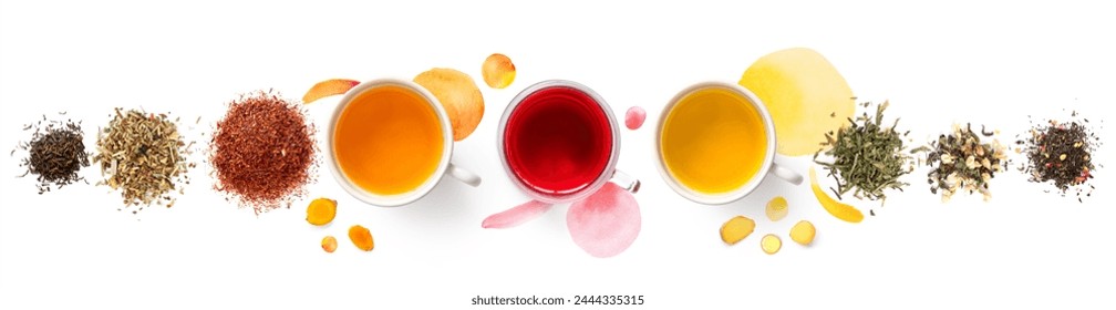 Creative layout made of cups of tea, green tea, black tea, fruit and herbal tea, sencha, hibiscus, ginger on white background with watercolor spots. Flat lay. Food concept.
