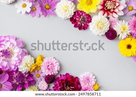 Creative layout made of flowers asters, dahlias, calendula. Floral Greeting card. Colorful autumn flower background with space for text. Nature trendy decorative design. Nature concept. Flat lay.