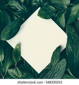 Creative layout made of flowers and leaves with paper card note. Flat lay. Nature concept - Shutterstock ID 548330353
