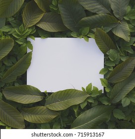 Creative layout made of flowers and leaves with paper card note - Shutterstock ID 715913167