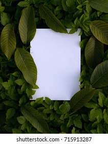 Creative layout made of flowers and leaves with paper card note - Shutterstock ID 715913287