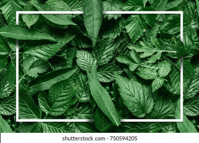 Creative layout made of flowers and leaves with paper card note. Flat lay. Nature concept - Shutterstock ID 750594205