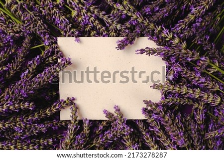Creative layout made of fresh lavander with paper card note. Flat lay. Nature concept