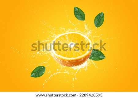 Creative layout made from Fresh Sliced oranges and Orange fruit and water Splashing on a pink background.