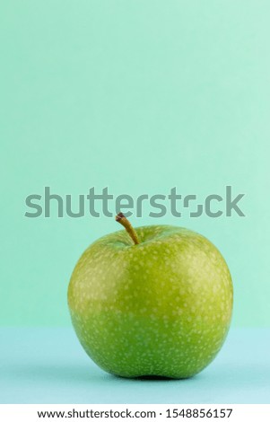 Similar – Image, Stock Photo Creative layout made of Christmas tree branches red background