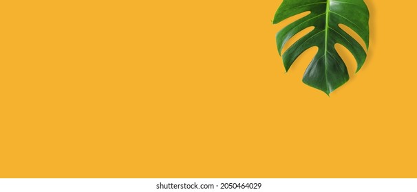 南国の花 イラスト Images Stock Photos Vectors Shutterstock