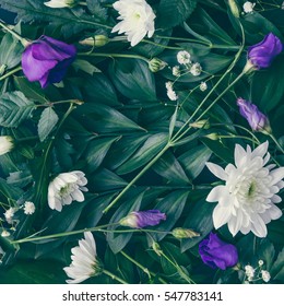 Creative Layout Made Of Green Leaves And Flowers. Flat Lay. Nature Background