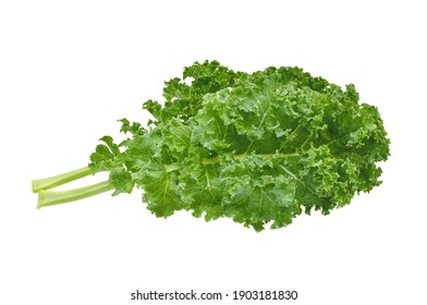 Creative layout made of kale on white background