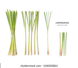 Creative layout made of lemongrass. Flat lay. Food concept. Macro concept.