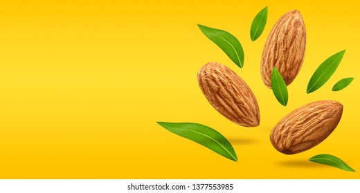 Creative Layout Made Of Nuts Almond And Leaf On Pastel Blue Background. Macro Concept. Nuts Almond Mockup As Package Design Element. Full Depth Of Field. Food Concept.