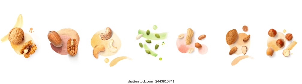 Creative layout made of pecan, almond, pumpkin seeds, walnut, cashew, hazelnut on the white background with watercolor spots. Flat lay. Macro concept of nuts and seeds.