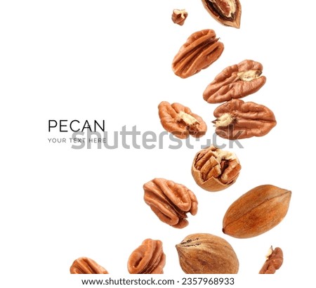 Creative layout made of pecan nut on the white background. Flat lay. Food concept. Macro concept. 