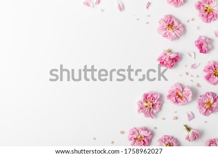 Creative layout made of pink damask roses and green leaves on white background. Flat lay, top view.