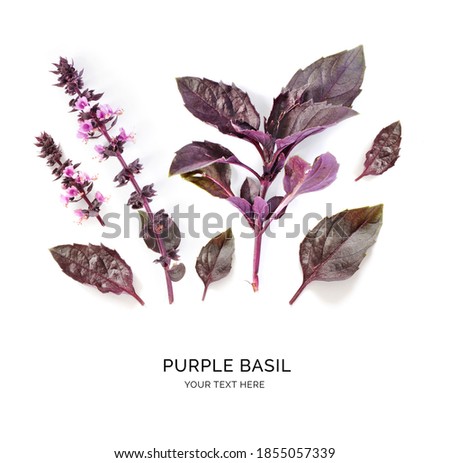 Creative layout made of purple basil on a white background. Top view.  