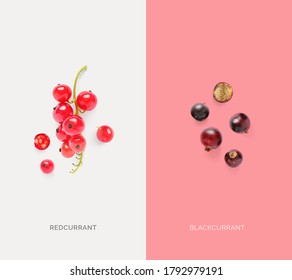 Creative Layout Made Of Redcurrant And Blackcurrant. Flat Lay. Macro Concept.