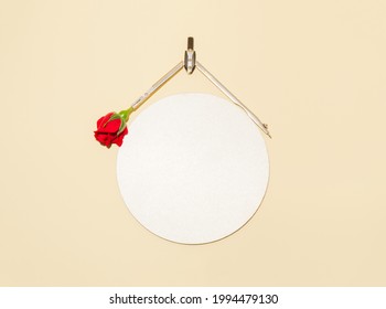 Creative layout made with school geometric compass for drawing circle and red rose. Copy space composition. - Powered by Shutterstock