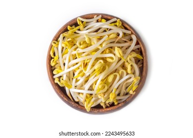 Creative layout made of soya bean sprouts on the white background. 